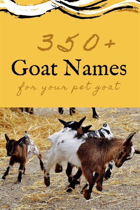 What Was The Goat'S Name In Animal Farm